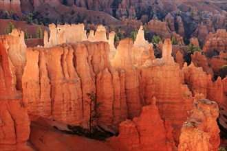 Orange rock formations form a vast landscape under the twilight sky, Bryce Canyon National Park,