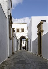 Old town alley with historic captains' houses, Lindos, Rhodes, Dodecanese archipelago, Greek