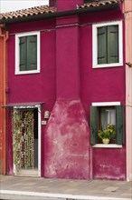 Purple stucco house facade decorated with flowepot in window and curtain over entrance door, Burano