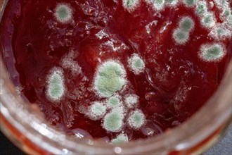 A jar of jam with visible green mould, a sign of spoilage and food waste