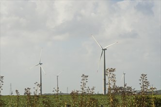 Windmills during bright summer day with blue sky, clean and renewable energy concept