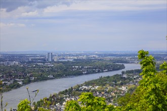 View of Bonn, North Rhine-Westphalia, Germany from the Drachenfels, a mountain in the Siebengebirge