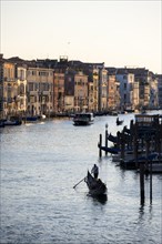 View over the Grand Canal with gondoliers in the evening light, from the Rialto Bridge, Venice,