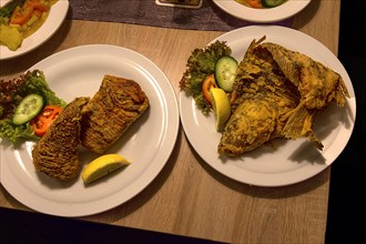 Baked Common carp and baked carp fillet served in an inn, Franconia, Bavaria, Germany, Europe