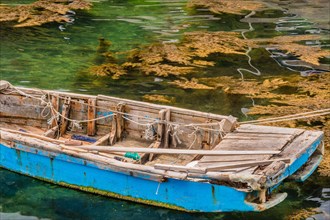 Blue wooden row boat floating on a sea of greenish colored water with brown plants floating on the