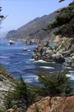 A rocky coast with trees falls steeply into the foamy sea, Big Sur Pfeiffer, US 1, North America,