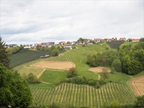 Arable land and wine-growing area, near Riegersburg, Styrian volcanic region near Riegersburg,