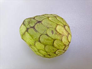 Close-up of a green fruit with a scale-like texture on a light-coloured background, Chirimuya,
