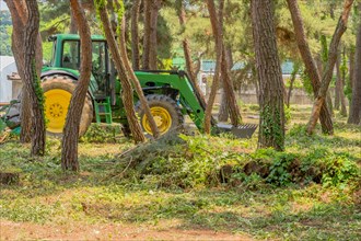 Green tractor with yellow wheels parked in shade of grove of trees in South Korea