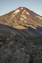 Lonquimay volcano, Malalcahuello National Reserve, Curacautin, Araucania, Chile, South America