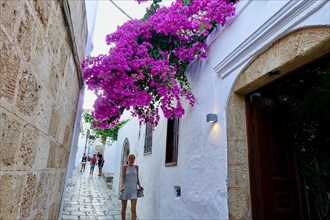 Narrow alley with flowering plants in a traditional Greek village, Lindos, Rhodes, Dodecanese,