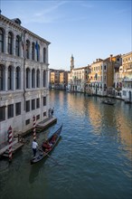 Evening atmosphere on the Grand Canal with gondoliers, view from the Rialto Bridge, Venice, Veneto,