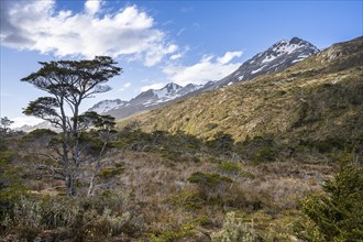Horn peak, Routa Y-85, Karukinka Natural Park, Timaukel, Tierra del Fuego, Magallanes and Chilean