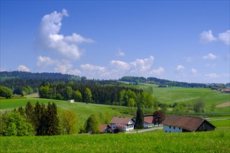 Landscape near Zwickledt, near Wernstein am Inn, Innviertel, Upper Austria, Austria, Europe
