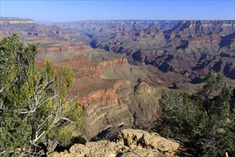 Grand Canyon National Park, South Rim, North America, USA, South-West, Arizona, North America