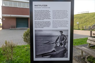 Publicly displayed information board on the subject of mudflats and creatures next to the pumping