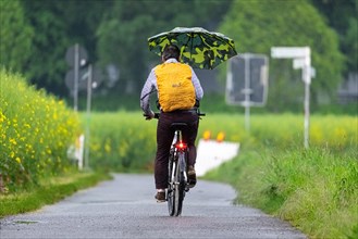 A cyclist rides along a country lane in heavy rain in the north-west of Frankfurt am Main,