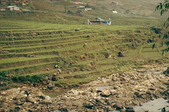 Rural landscape with terraced farming fields alongside a river with small indigenous houses in Lao