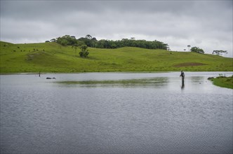Black bass fisherman fishing with flyfishing, Cambara do sul, Rio Grande do sul, Brazil, South