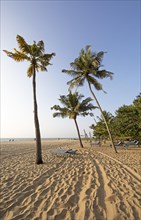 Evening atmosphere at Marari Beach, Mararikulam, Alappuzha district, Kerala, India, Asia