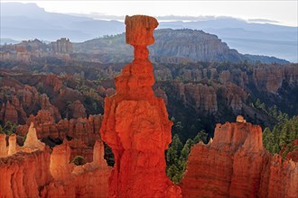 A striking hoodoo towers over a formation of rock towers, Thor's hammer, Bryce Canyon National