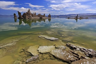 Limestone tufa structures protrude into a lake with clear water and a cloudy sky, Mono Lake, North
