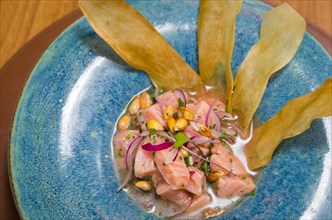 Delicious salmon ceviche with vegetables, spices and lemon close up on a plate on the table.