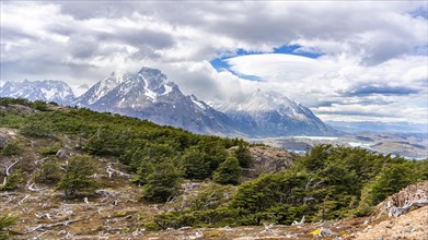 View on Paine Grande Mountain, Hike to Ferrier lookout, Torres de Paine, Magallanes and Chilean
