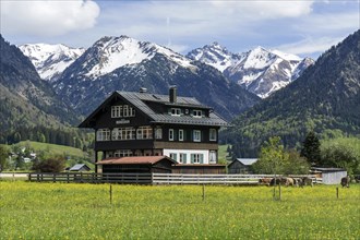 Haus Bergesruh, behind the mountains of the Allgaeu Alps, Oberstdorf, Oberallgaeu, Allgaeu,