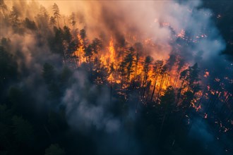 Aerial view of a forest fire is raging through a forest, with smoke and flames visible in the air.