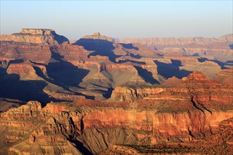 Early morning light colours the Grand Canyon in breathtaking shades of gold, Grand Canyon National