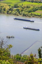 View from Drachenfels, mountain in the Siebengebirge on the Rhine with cargo ships between