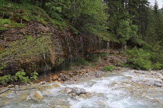 Triafn waterfall in Maria Alm am Steinernen Meer in Mitterpinzgau