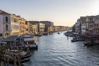 View over the Grand Canal in the evening light, from the Rialto Bridge, Venice, Veneto, Italy,