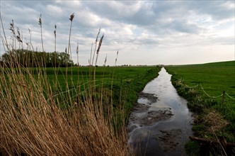 View of the Wymeerer Sieltief in southern direction, Pogum, municipality of Jemgum, district of