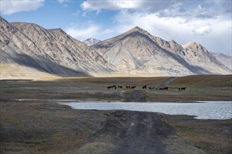 Off-road 4x4 track through a lake, gravel track on a plateau, dramatic high mountains, Tian Shan