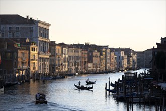 View over the Grand Canal with gondoliers in the evening light, from the Rialto Bridge, Venice,