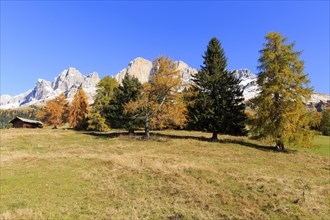 Mountain slopes with conifers and autumn trees under a bright blue sky, Italy, Alto Adige, Bolzano