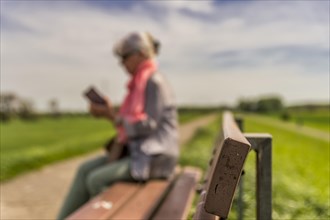 Senior citizen sitting on a bench and looking at her smartphone, side view, blurred, dike crest,