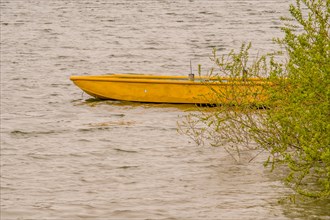 Small wooden yellow boat drifting in lake with choppy water with a lush green bush covering the