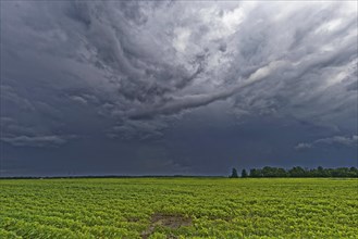 Agriculture, storm clouds, Province of Quebec, Canada, North America
