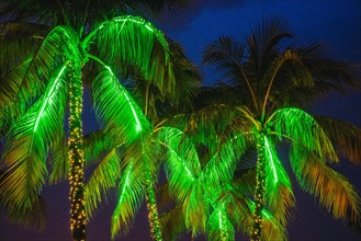 Neon lights, Ocean Drive, Miami Beach, Florida, USA, North America