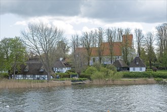 Church, thatched roof houses, trees, Sieseby, Schlei, Schleswig-Holstein, Germany, Europe