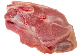 Fresh raw pork leg joint isolated on white background