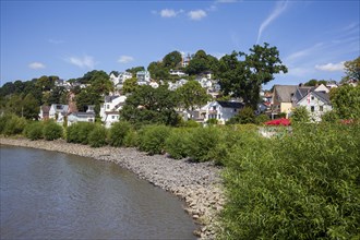 Suellberg with Elbufer with villas and residential buildings, Blankenese district, Hamburg,