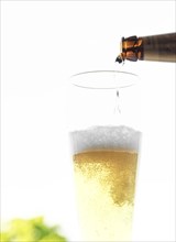 Beer is poured from a bottle into a glass, bubbles and foam are visible