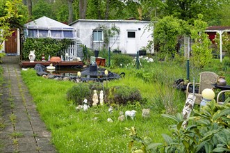 Allotment garden, allotment garden, garden in an allotment garden site, Leipzig, Saxony, Germany,