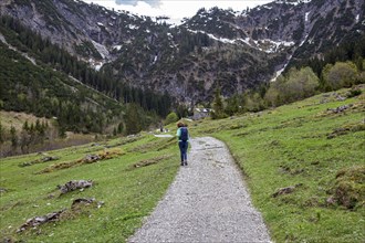 Hiking trail through green meadows, behind Hintere Gemstel-Huette, Gemsteltal, Mittelberg,
