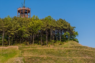 Wooden observation tower in center of grove of trees on top of manicured hill in South Korea