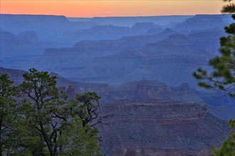 Blue hour over the Grand Canyon with visible silhouettes of trees and rocks, Grand Canyon National